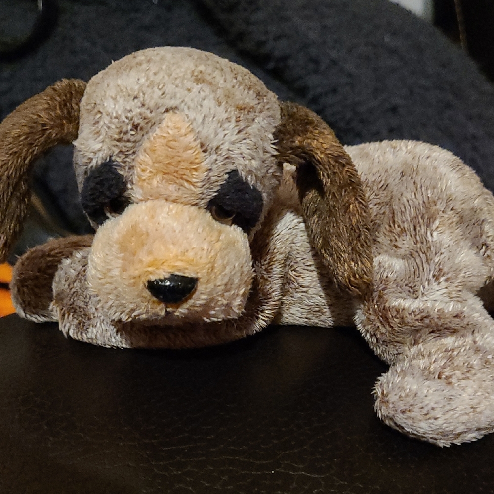 Russ Emerson Brown Dog with sad eyes